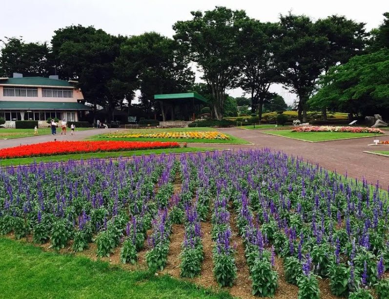Kawaguchi City Green Center, Kawaguchi, Japan, Japan